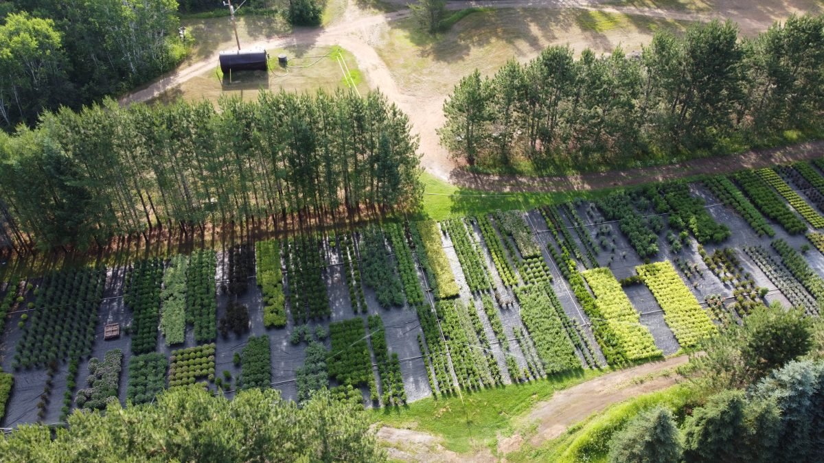 Drone Shot, Very Nice.