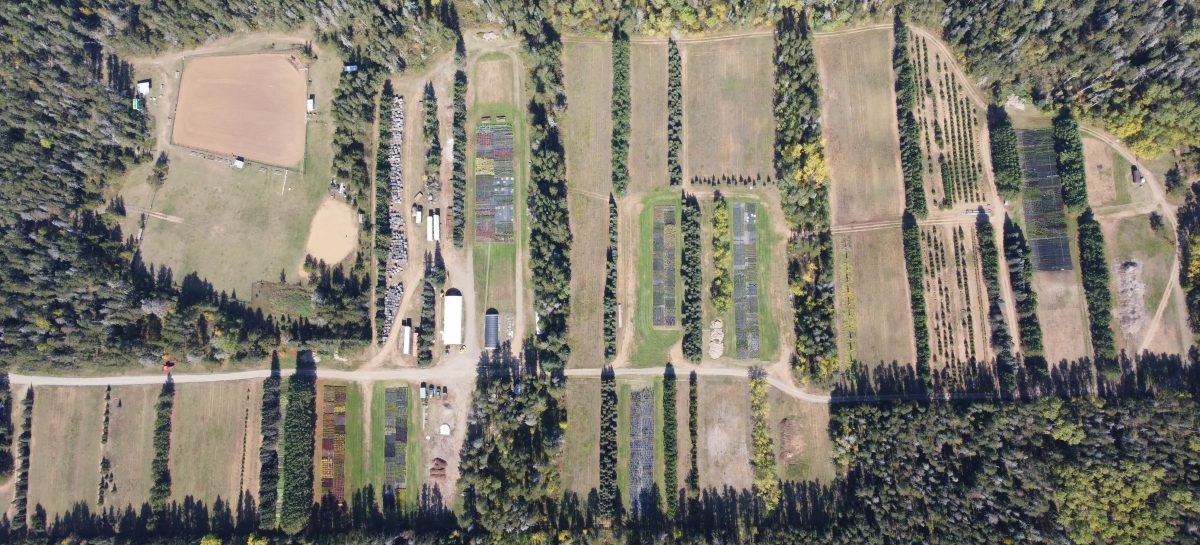 Flight over the nursery.