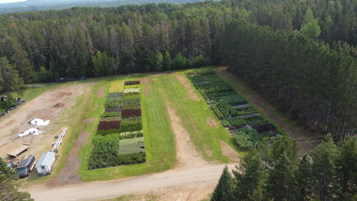 Yard 2, 3, and our soil mixing area.
