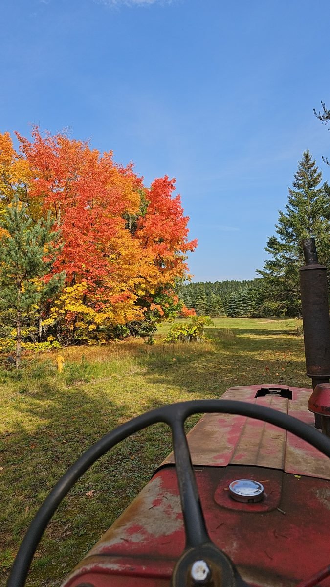 Great view while doing the last mow of the season