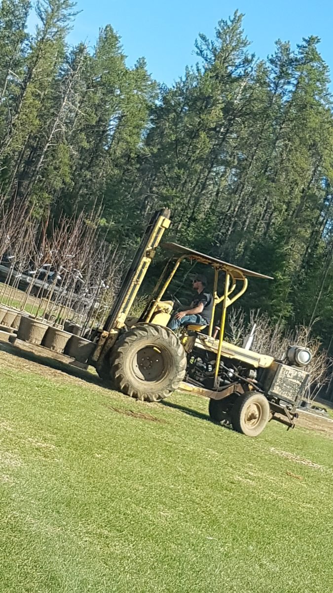 Moving freshly potted trees to get watered.